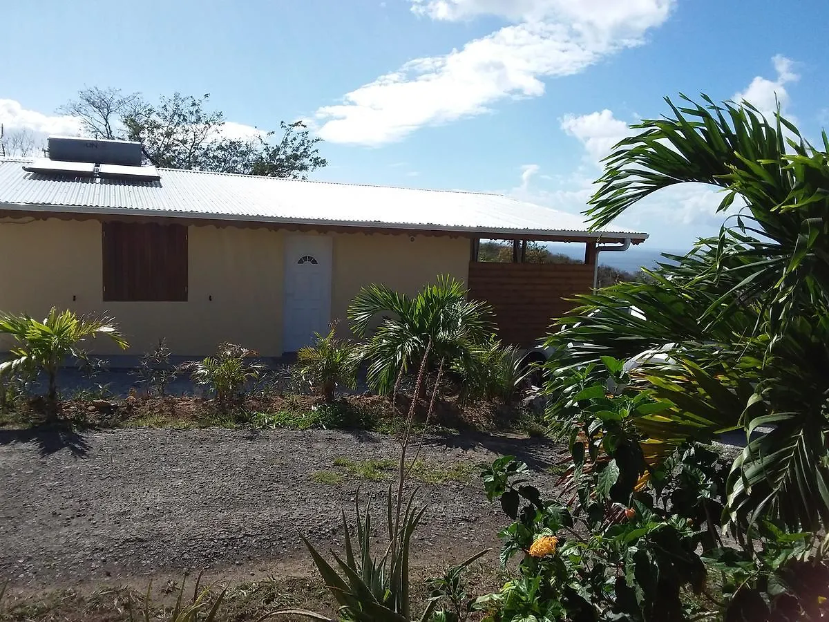 Gîte Avocatier Bouillante Hébergement de vacances